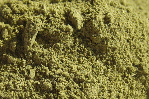 City Herbs