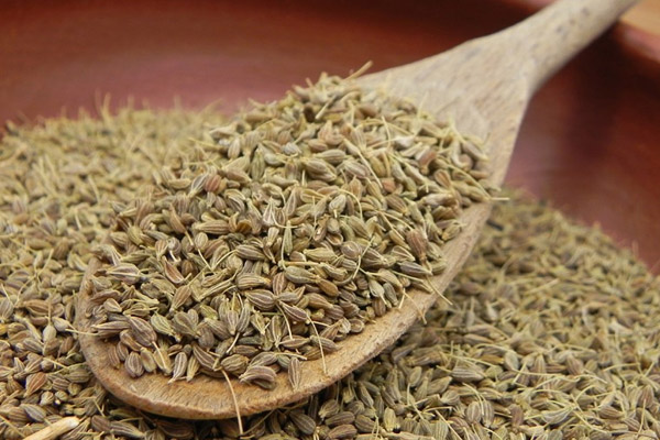 City Herbs