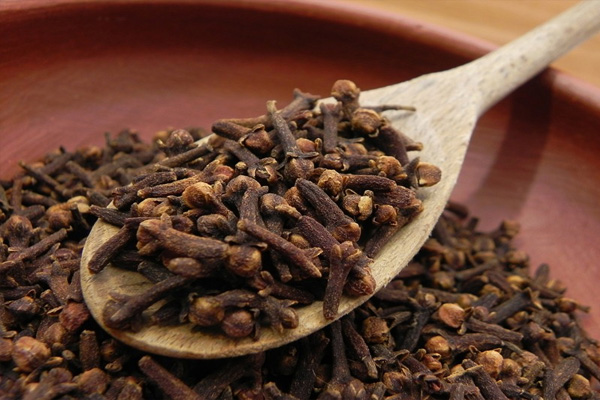 City Herbs